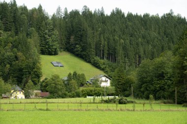 Geleneksel küçük bir Avusturya köyü, doğanın ortasında güzel evler..