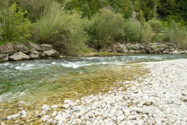 Vahşi Dağ Nehri Akışı, Manzaralı Alp Manzarası