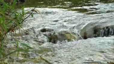 Çalkantılı Su Akıntısı Hızlı Nehir, Yavaş Hareket Doğa Sahnesi.