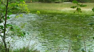 Vahşi Dağ Nehri Yavaş Hareket Ediyor, Manzaralı Alp manzarası