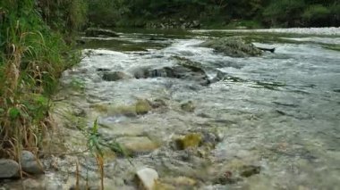 Turbulent Water Flow of Fast River, Nature Scene.