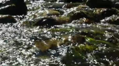 Nehir Kayalık Altında Akıyor, Doğal Su Arkaplanı.