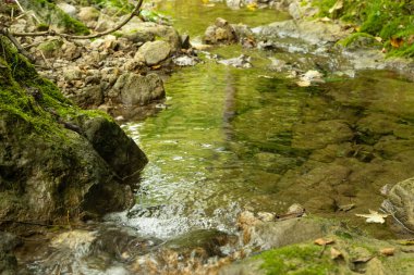 Alplerde küçük bir dere, temiz ve sağlıklı su..