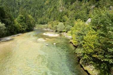 Yazın Orman Irmağı ile Güzel Doğal Arkaplan.