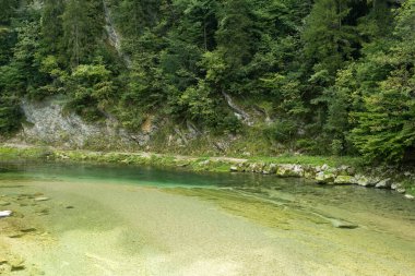 Yazın Orman Irmağı ile Güzel Doğal Arkaplan.