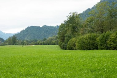 Yeşil Avusturya Çayırları ve Ormanları, Yaz Arazisi.