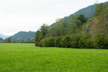 Yeşil Avusturya Çayırları ve Ormanları, Yaz Arazisi.