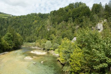Yazın Orman Irmağı ile Güzel Doğal Arkaplan.