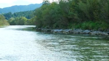 Yazın Orman Irmağı ile Güzel Doğal Arkaplan.