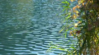 Şaşırtıcı turkuaz su rengi, göl yüzeyi, metin için boşluk.