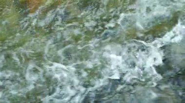 Yavaş Hareketli Hızlı Nehir Akışı Üst Görünümü.