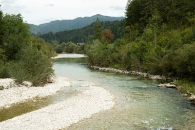 Yazın Orman Irmağı ile Güzel Doğal Arkaplan.