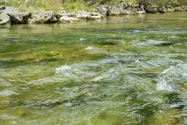 Rocky Shore ile Hızlı Dağ Nehri, Vahşi Doğa Sahnesi.