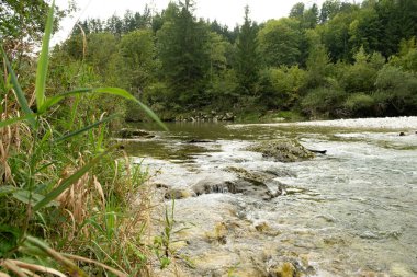 Vahşi Dağ Nehri Akışı, Manzaralı Alp Manzarası