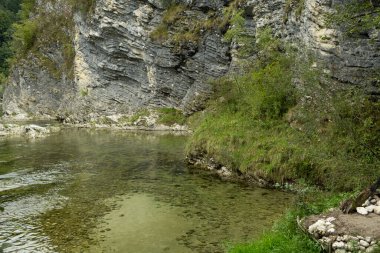 Dağ Nehri Akışı, Manzaralı Alp Manzarası