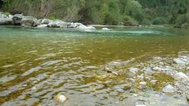 Yeşil Ormanda Güçlü Nehir Akıntısı.