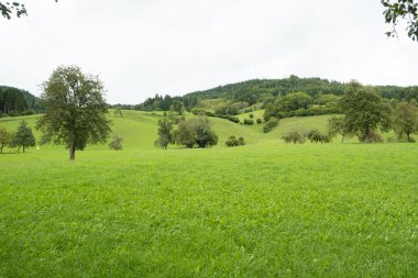 Idyllic Kırsal Sahne, Meadow Çimeni ve Uzak Tepeler.