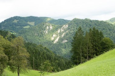 Alp bulutlu hava, uzaktaki yeşil çimenler ve dağlar