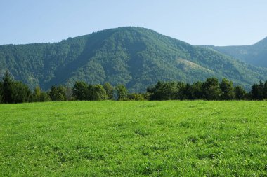 Alp doğası, uzaktaki yeşil çimenler ve dağlar