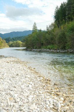 Çarpıcı Dağ Nehri Manzarası ve Orman Manzarası.