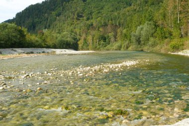 Çarpıcı Dağ Nehri Manzarası ve Orman Manzarası.