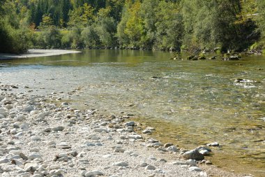 Güneşli bir günde Alplerde Rocky Nehir yatağı.