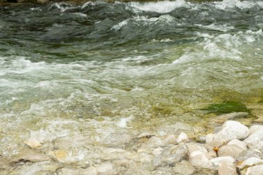 Rocky Shore ile Hızlı Dağ Nehri, Vahşi Doğa Sahnesi.