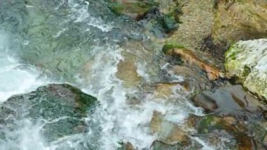 Dağ nehri akıntısı, kayalık taban, biraz su.