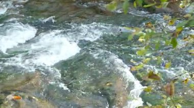 Rocky Shore ile Hızlı Dağ Nehri, Vahşi Doğa Sahnesi.