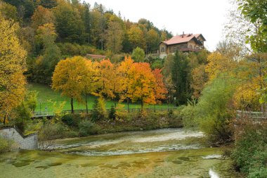 Mevsimlik manzarada rengarenk ağaçlarla dolu güzel bir sonbahar parkı.
