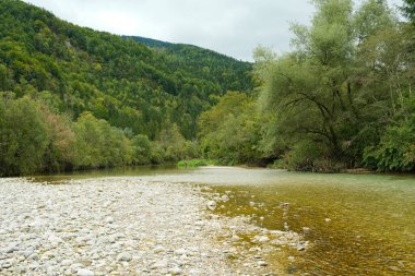 Woodland 'da Güzel Nehir Akışı.