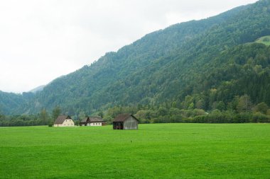 Idyllic Alp Çiftliği ve Berrak Yeşil Çayırdaki Ahır.
