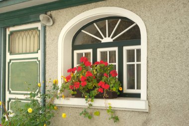 Traditional European House Facade with Arched Window and Red Geraniums.