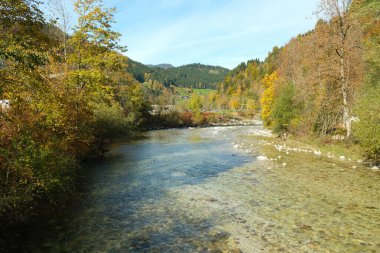 Orman ve Nehirle Huzurlu Alp Manzarası.