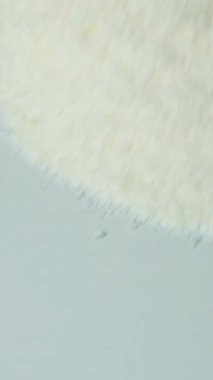 Beyaz arka plan makrosu üzerinde hindistan cevizi parçacıkları, dikey yavaş çekim.