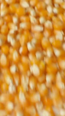 Patlamış mısır için Ham Pişmemiş Mısır Çekirdekleri, Dikey Yavaş Hareket