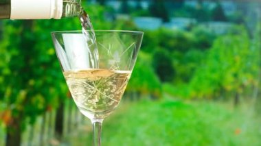 Beyaz şarabın yavaş yavaş üzüm bağı olan bir bardağa dökülmesi..