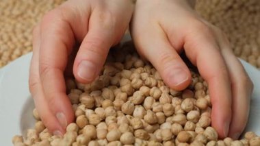 İnsan elleri bir avuç kuru nohutu ağır çekimde dolduruyor..