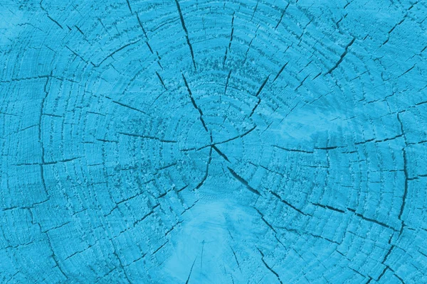 Fundo Azul Claro Textura Madeira Fundo Madeira Secção Das Árvores — Fotografia de Stock