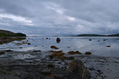 Kuzey denizinde gelgit var. Kötü bir gün. Taşlar sudan çıkar, yosunlar kıyıda yatar..