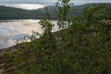 Beyaz Deniz 'de bir adanın körfezinde batan güneş körfezin suyuna yansıyor. Yağmurdan sonra.