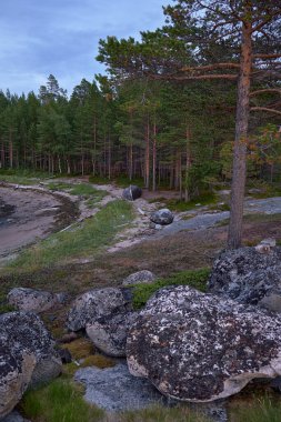 Deniz kıyısında devrilmiş bir ahşap tekne uzanıyor. Taşlar ön planda yatıyor..