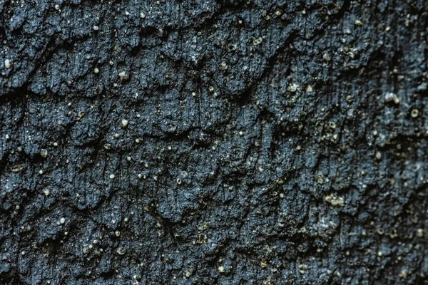 Close Texture Black Scratched Brick — Stock Photo, Image