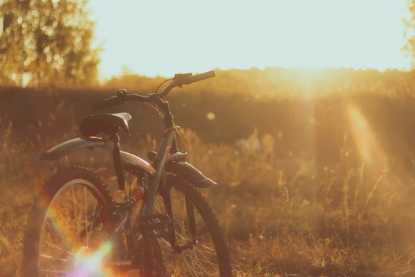 A bicicleta e o sol na estrada — Fotografia de Stock