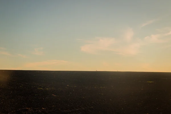 Sembrado Con Campo Trigo —  Fotos de Stock