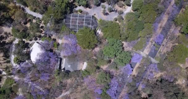 Volando sobre el parque de aguas azules en Guadalajara Jalisco — Vídeos de Stock