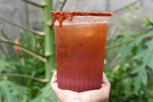 Tenere una michelada in mezzo alla vegetazione — Foto Stock