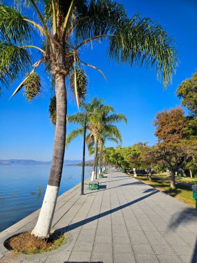 Ajijic, Jalisco, Meksika 'daki sakin rıhtım güvertesi, sıcak bir günde asfalt kaldırım, tropikal palmiye ağaçları ve Chapala Gölü' nün altında sakin bir mavi gökyüzü.