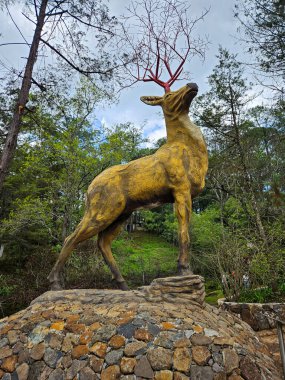 Mazamitla, Meksika - 14 Temmuz 2024: Mazamitla 'da bulutlu bir gökyüzünün altındaki yeşil bir ormanın ortasında eşsiz kırmızı boynuzlu altın geyik heykeli