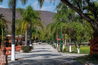 Chapala Gölü yakınlarındaki Jocotepec 'te palmiye ağaçları ve yeşil alanlarla çevrili huzurlu bir yürüyüş yolu.